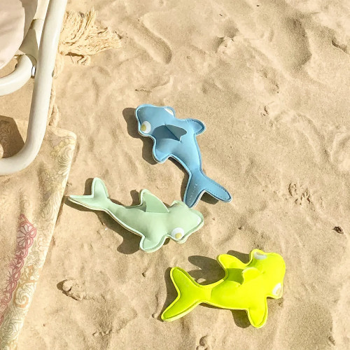 REQUINS LESTÉS
