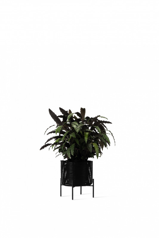 PLANT STAND - IVO