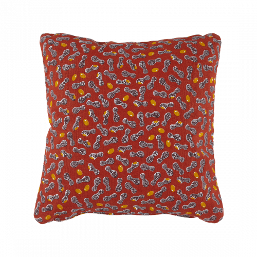 COUSSIN OUTDOOR CACAHUÈTES 44 X 44 CM - ENVIE D'AILLEURS